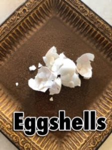 egg shells